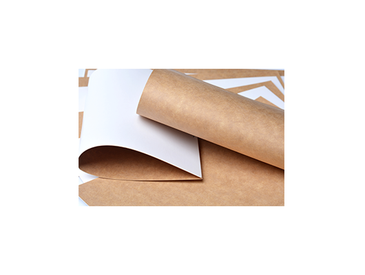 芬蘭涂布?？?>
                        <span>芬蘭涂布牛卡紙</span>
                    </a>
                </li>
<li>
                    <a href=